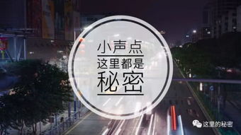 晚上找谁套出来美团月付,揭秘夜晚的社交密码，与美团月付的秘密对话