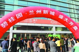 兰州微店放心花套出来,兰州微店放心花套出来