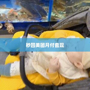 美团月付套出来秒回技巧,美团月付套现秒回技巧