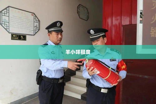 羊小咩在哪里套现,羊小咩套现攻略，安全、高效还是风险重重？