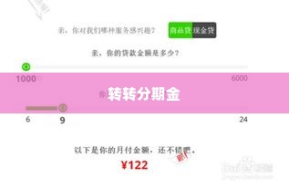 转转分期金怎么套出来到微信,转转分期金怎么套出来到微信