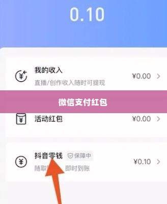 怎么套出来抖音月付的钱啊微信,揭秘抖音月付如何实现微信提现