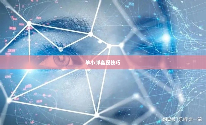 怎么把羊小咩套现,揭秘羊小咩套现技巧与风险防范