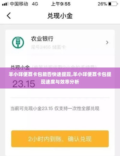 羊小咩便荔卡包能否快速提现,羊小咩便荔卡包提现速度与效率分析