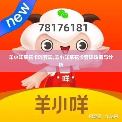 羊小咩享花卡咋套现,羊小咩享花卡套现攻略与分析
