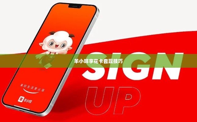 羊小咩享花卡套现方法,探索羊小咩享花卡的套现方法
