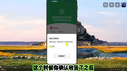 林州市拼多多先用后付套出来,林州市拼多多先用后付套现方案分析与实施
