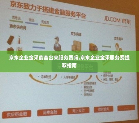 京东企业金采能套出来服务费吗,京东企业金采服务费提取指南