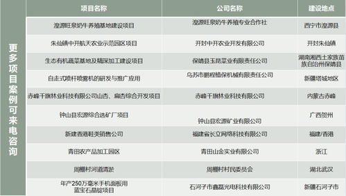 转转分期能套出来吗现在,转转分期的套现可能性与风险评估