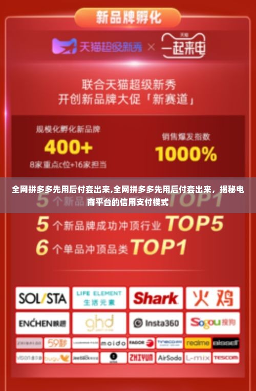 全网拼多多先用后付套出来,全网拼多多先用后付套出来，揭秘电商平台的信用支付模式