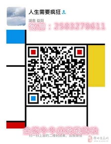 微信分付套出来二维码怎么用的,微信分付套现二维码使用指南，安全与风险全解析