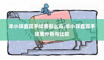 羊小咩套现手续费那么高,羊小咩套现手续费分析与比较