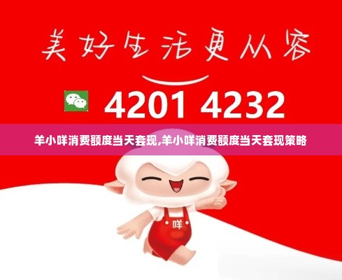 羊小咩消费额度当天套现,羊小咩消费额度当天套现策略