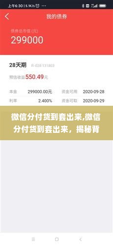 微信分付货到套出来,微信分付货到套出来，揭秘背后的风险与机遇
