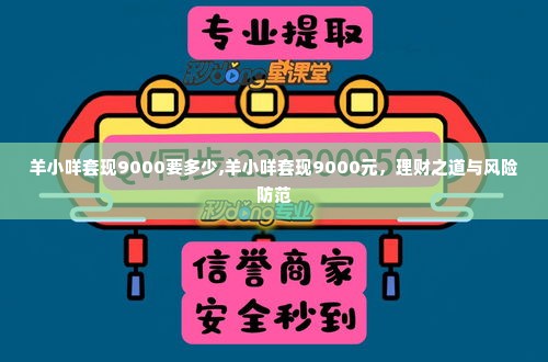 羊小咩套现9000要多少,羊小咩套现9000元，理财之道与风险防范