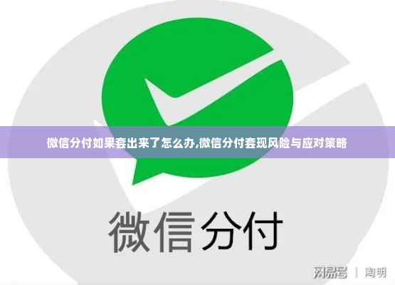微信分付如果套出来了怎么办,微信分付套现风险与应对策略