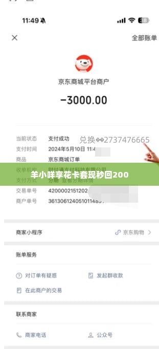 羊小咩享花卡套现秒回200,羊小咩享花卡套现秒回200，轻松理财新体验
