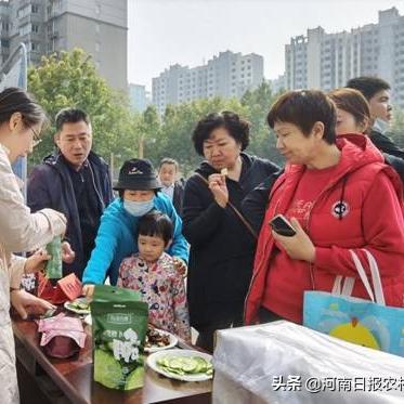 郑州拼多多先用后付套出来商家,郑州拼多多先用后付套出来商家，探索电商平台的信用支付模式