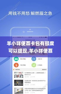 羊小咩便荔卡包有额度可以提现,羊小咩便荔卡包，便捷支付的新篇章