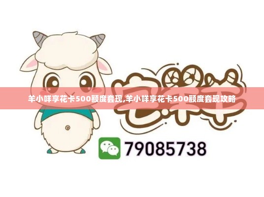 羊小咩享花卡500额度套现,羊小咩享花卡500额度套现攻略