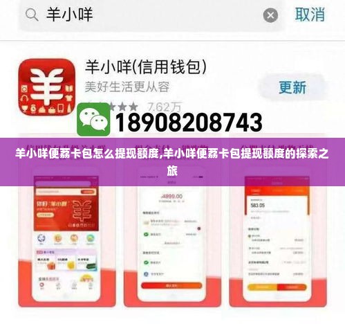 羊小咩便荔卡包怎么提现额度,羊小咩便荔卡包提现额度的探索之旅