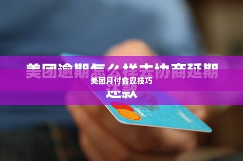 美团月付买什么可以套出来,美团月付的妙用，精明消费与资金周转的艺术