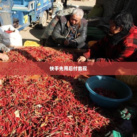 快手先用后付套出来怎么弄出来的,快手先用后付套出来怎么弄出来的