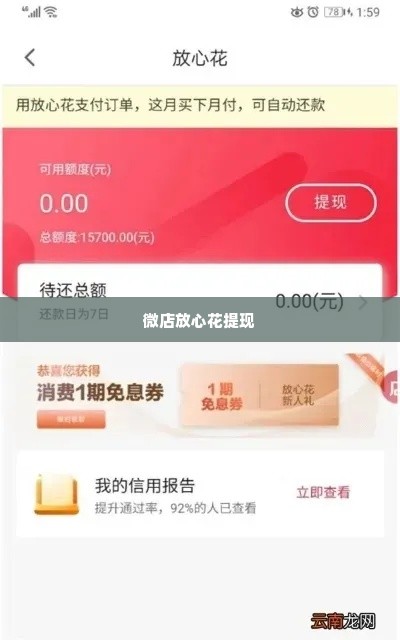 微店放心花提现怎么套出来的,微店放心花提现怎么套出来的