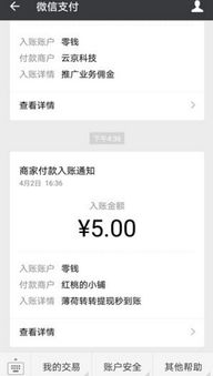 怎么把转转分期里的钱套出来,转转分期，解锁资金流动的艺术
