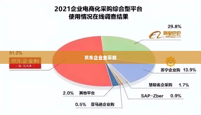 京东企业金采能套出来的商家,探索京东企业金采能，揭秘商家背后的商业秘密