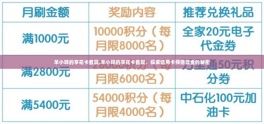 羊小咩的享花卡套现,羊小咩的享花卡套现，探索信用卡预借现金的秘密