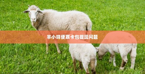 羊小咩便荔卡包不能提现,羊小咩便荔卡包的困境与出路