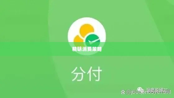微信分付买什么套出来最划算,微信分付，精明消费的秘诀