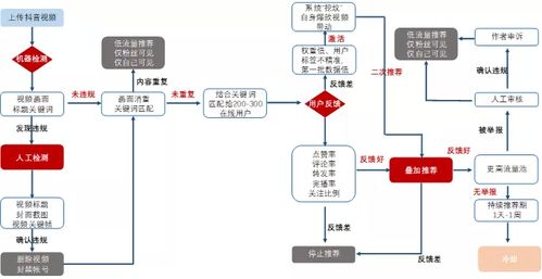 抖音月付套出来商家怎么操作流程图,抖音月付套出来商家操作流程图