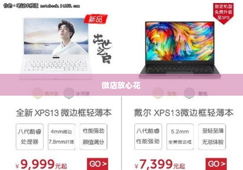 晚上找谁套出来微店放心花,夜晚的微店秘密——揭秘放心花背后的交易艺术