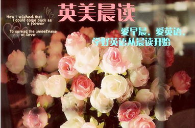 晚上找谁套出来微店放心花,夜晚的微店秘密——揭秘放心花背后的交易艺术