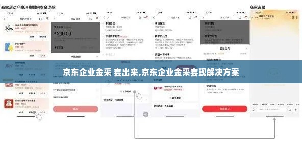京东企业金采 套出来,京东企业金采套现解决方案