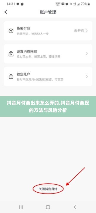抖音月付套出来怎么弄的,抖音月付套现的方法与风险分析