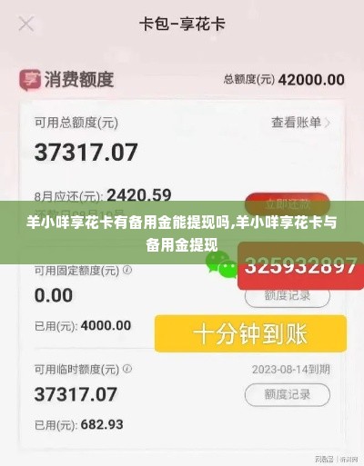 羊小咩享花卡有备用金能提现吗,羊小咩享花卡与备用金提现