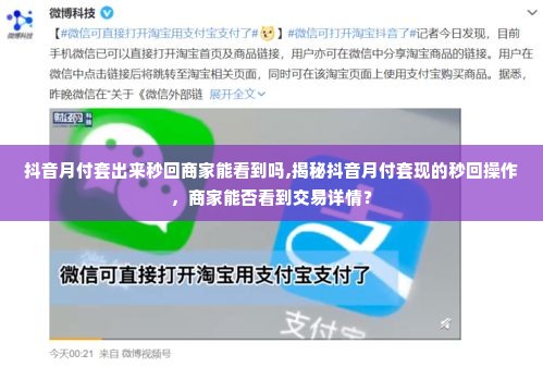 抖音月付套出来秒回商家能看到吗,揭秘抖音月付套现的秒回操作，商家能否看到交易详情？
