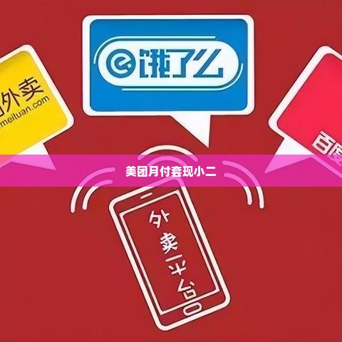 美团月付套出来小二,美团月付套现小二的江湖
