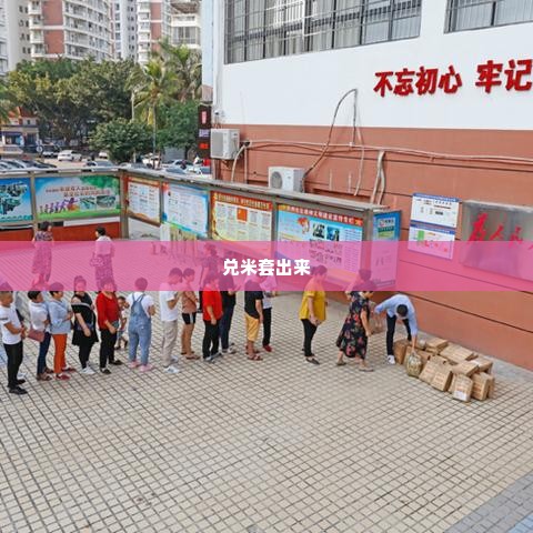 拼多多先用后付兑米套出来,拼多多先用后付兑米套出来，探索消费新趋势与机遇