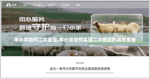 羊小咩如何二次提现,羊小咩如何实现二次提现的高效策略