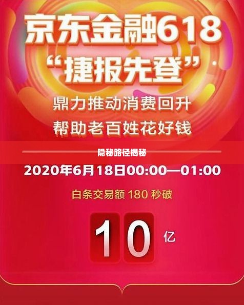 京东企业金采小额套出来的方法,揭秘京东企业金采小额套现的隐秘路径