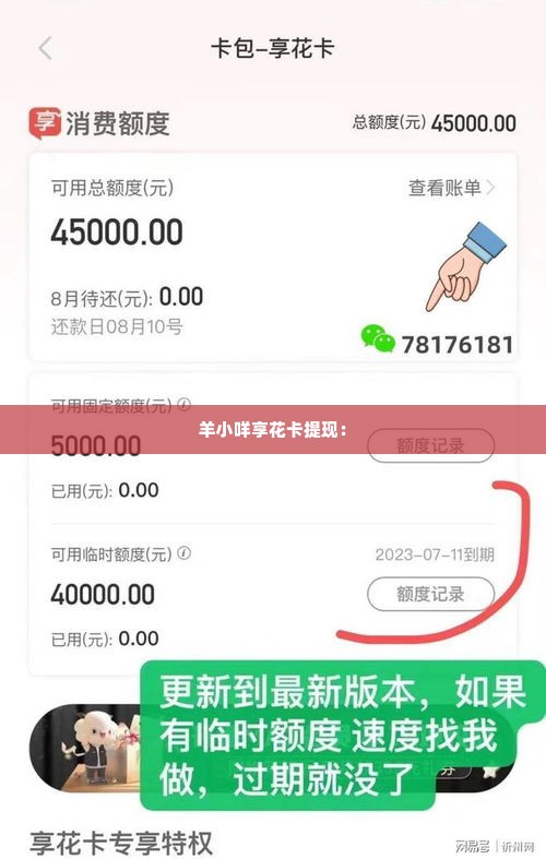 羊小咩享花卡可以提现吗,羊小咩享花卡提现攻略