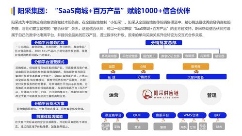 京东企业金采600多少套出来,京东企业金采600套的探索与实践