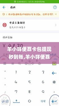 羊小咩便荔卡包提现秒到账,羊小咩便荔卡包提现秒到账——您的资金周转解决方案