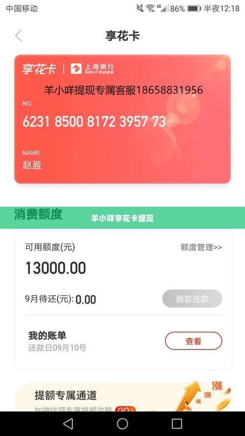 羊小咩享花卡贷款如何提现,羊小咩享花卡贷款提现指南