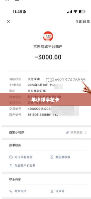 羊小咩享花卡怎么套现钱出来,羊小咩享花卡的变现之道，揭秘如何将虚拟福利转化为真金白银