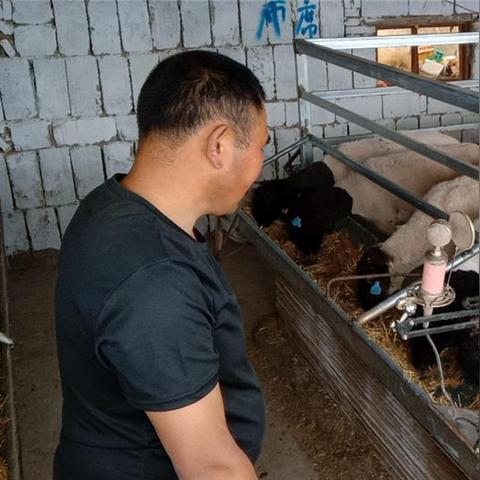 快手先用后付自己套出来怎么操作,快手先用后付自己套出来怎么操作